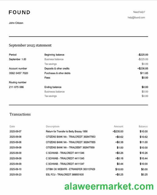 USA Found account statement Word and PDF template